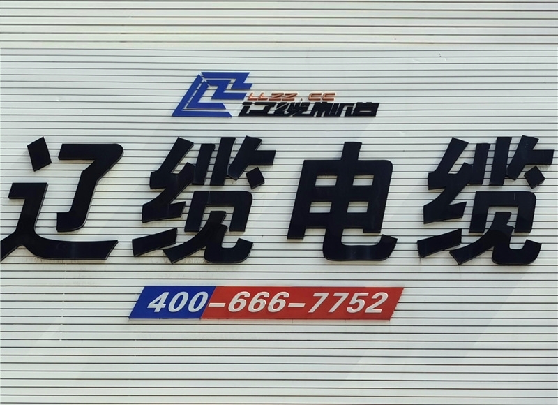 創始于2009年